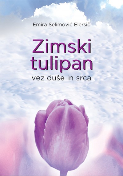 Zimski tulipan